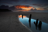 ©Adam Burton