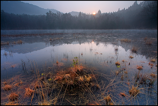 Tourbière du Waldeck ©Sébastien Brière