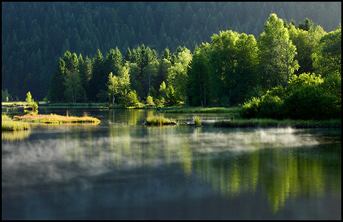 Tourbière de Lispach, Vosges - Alsace ©Sébastien Brière