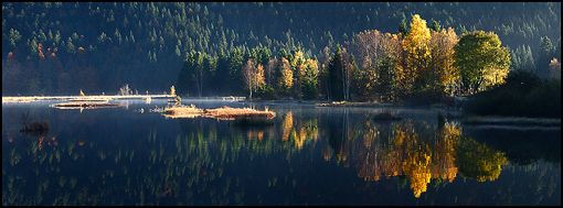 Tourbière de Lispach en automne, Vosges - Alsace ©Sébastien Brière