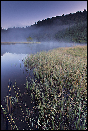 Matin Vosgien - Lispach