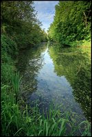 Forêt de la Robertsau à Strasbourg©Sébastien Brière