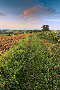Soir d'été, Alsace©Sébastien Brière