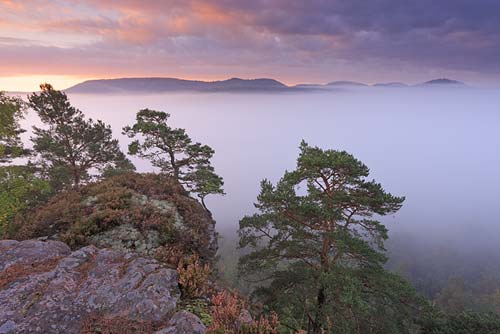 Vallée de la Steinbach, Obersteinbach, Alsace©Sébastien Brière