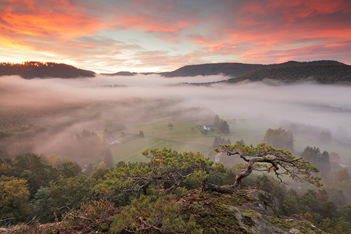 Aube sur la vallée de la Steinbach, Obersteinbach, Alsace©Sébastien Brière