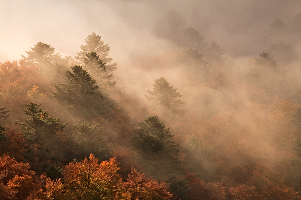 Massif du Hohneck, la suite…