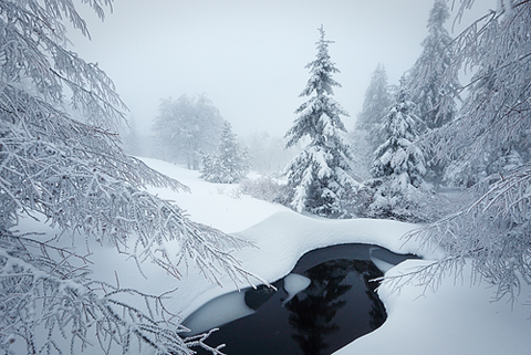 Vosges en hiver